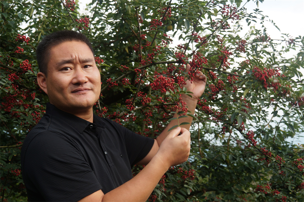 壹号娱乐2022大事记